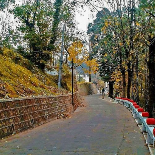 listing-details-carousel